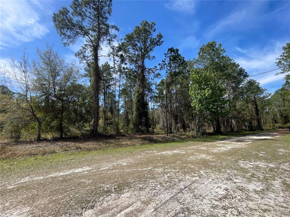 For Sale: $20,000 (0.24 acres)