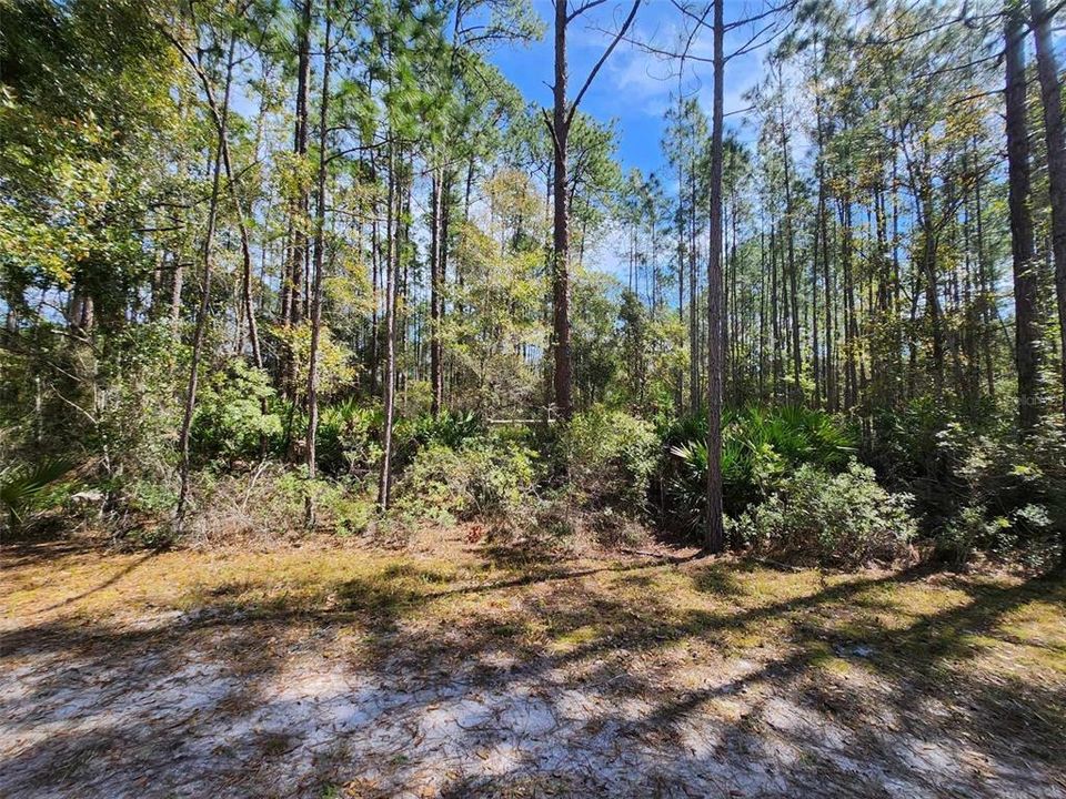 For Sale: $17,000 (0.23 acres)