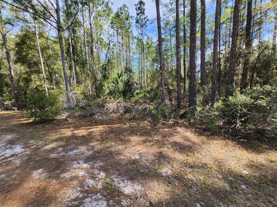 For Sale: $17,000 (0.23 acres)