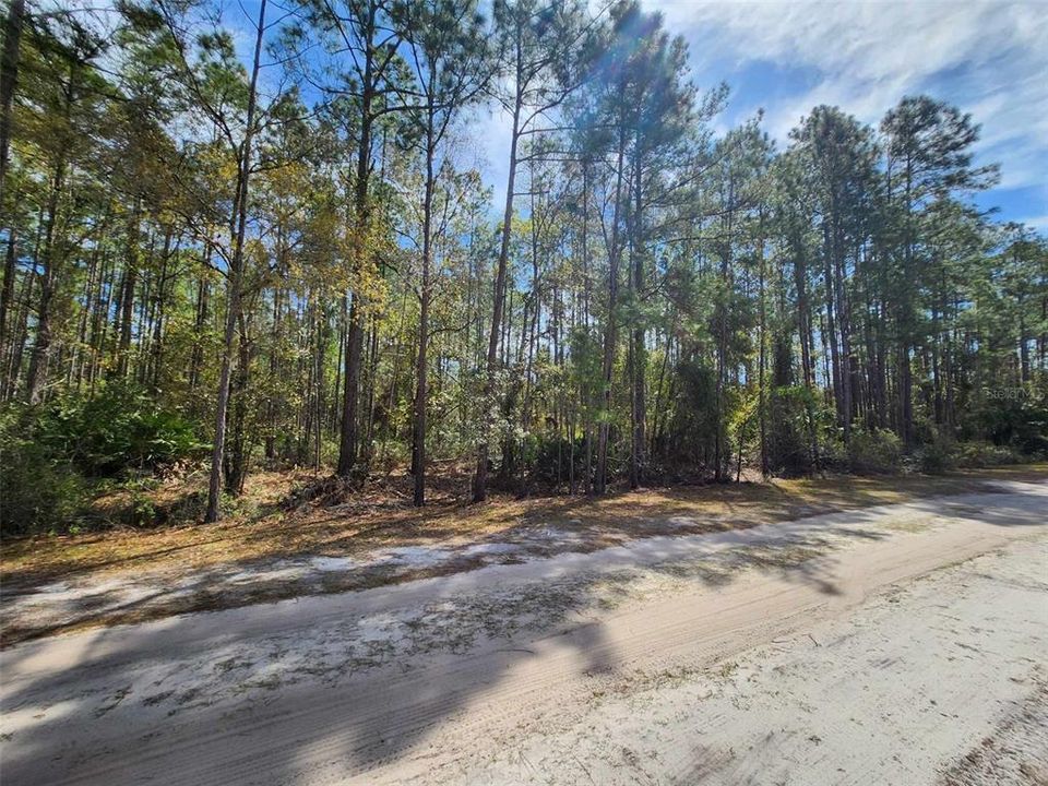 For Sale: $17,000 (0.23 acres)