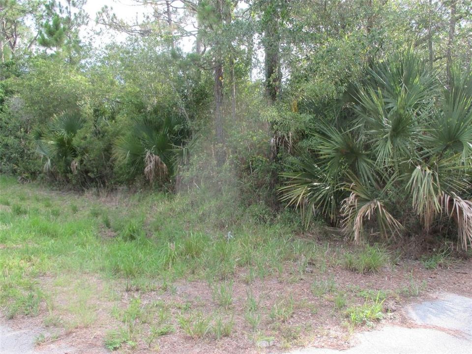 Недавно продано: $35,000 (0.22 acres)