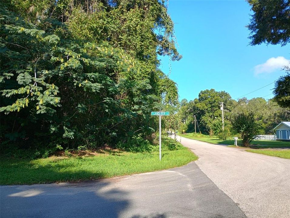 For Sale: $38,000 (0.30 acres)