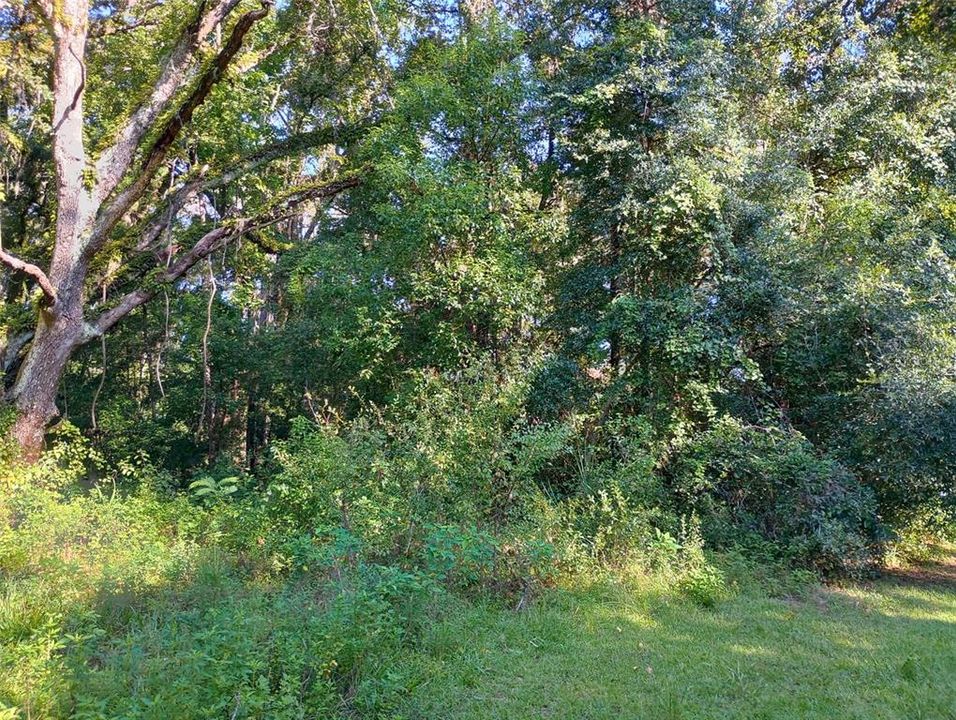 For Sale: $38,000 (0.30 acres)