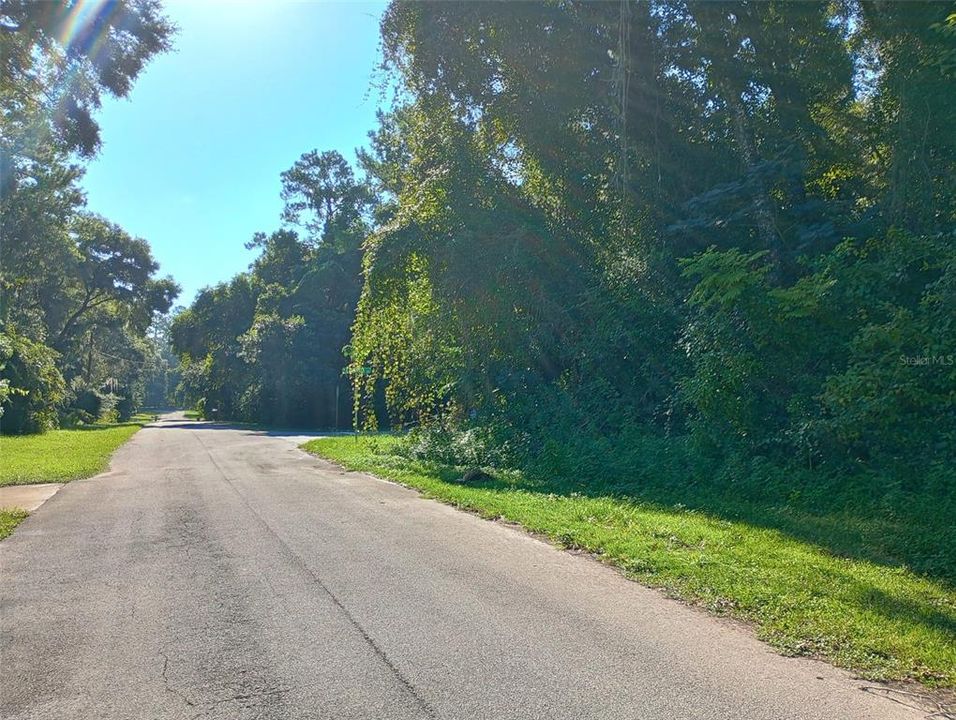 For Sale: $38,000 (0.30 acres)