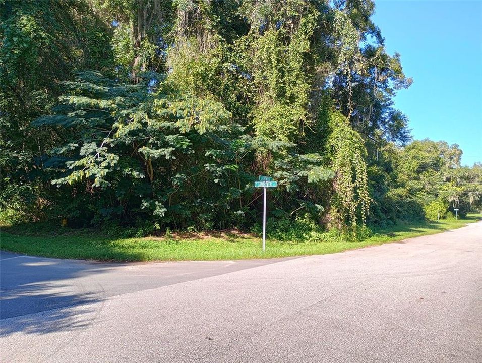 For Sale: $38,000 (0.30 acres)