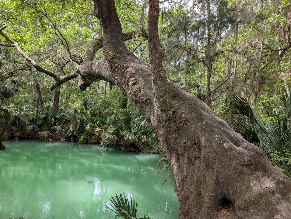 На продажу: $158,000 (2 спален, 2 ванн, 897 Квадратных фут)