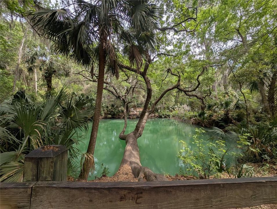 На продажу: $158,000 (2 спален, 2 ванн, 897 Квадратных фут)