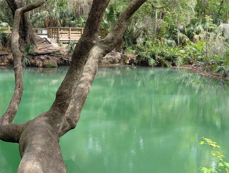 На продажу: $158,000 (2 спален, 2 ванн, 897 Квадратных фут)