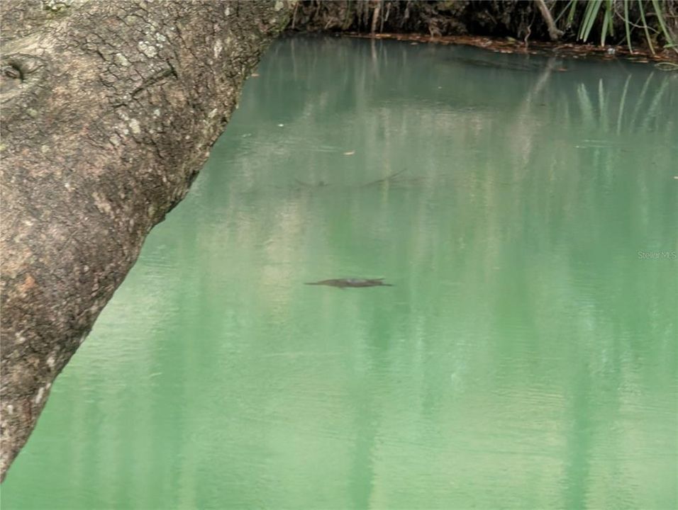 На продажу: $158,000 (2 спален, 2 ванн, 897 Квадратных фут)