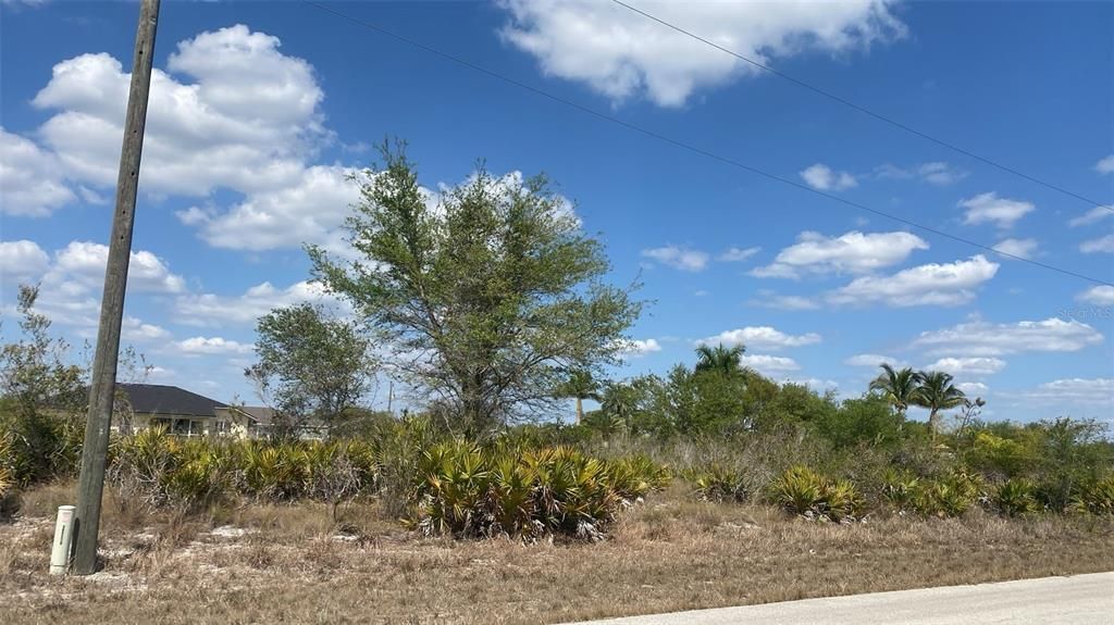 For Sale: $37,500 (0.25 acres)