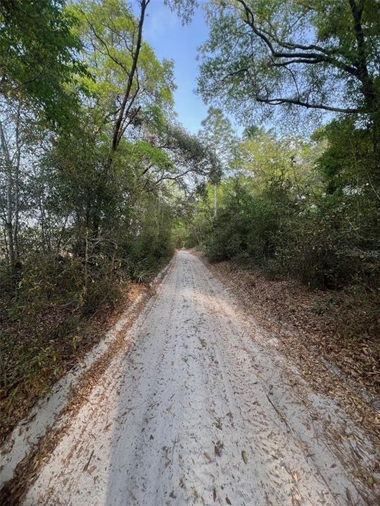For Sale: $44,500 (1.25 acres)