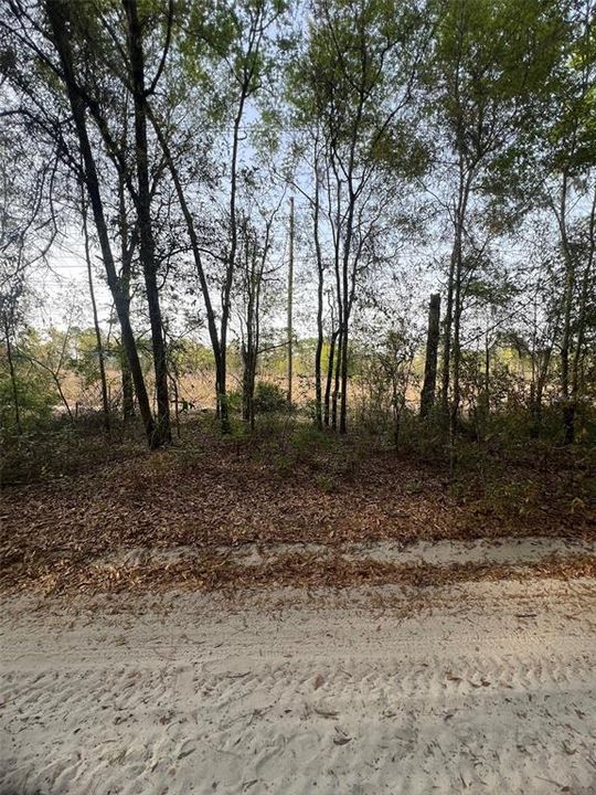 For Sale: $44,500 (1.25 acres)