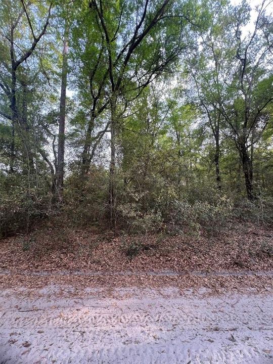 For Sale: $44,500 (1.25 acres)