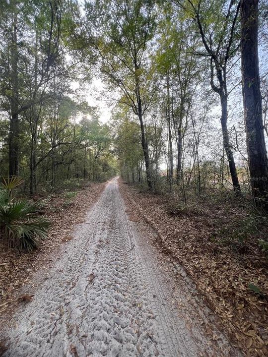 For Sale: $44,500 (1.25 acres)