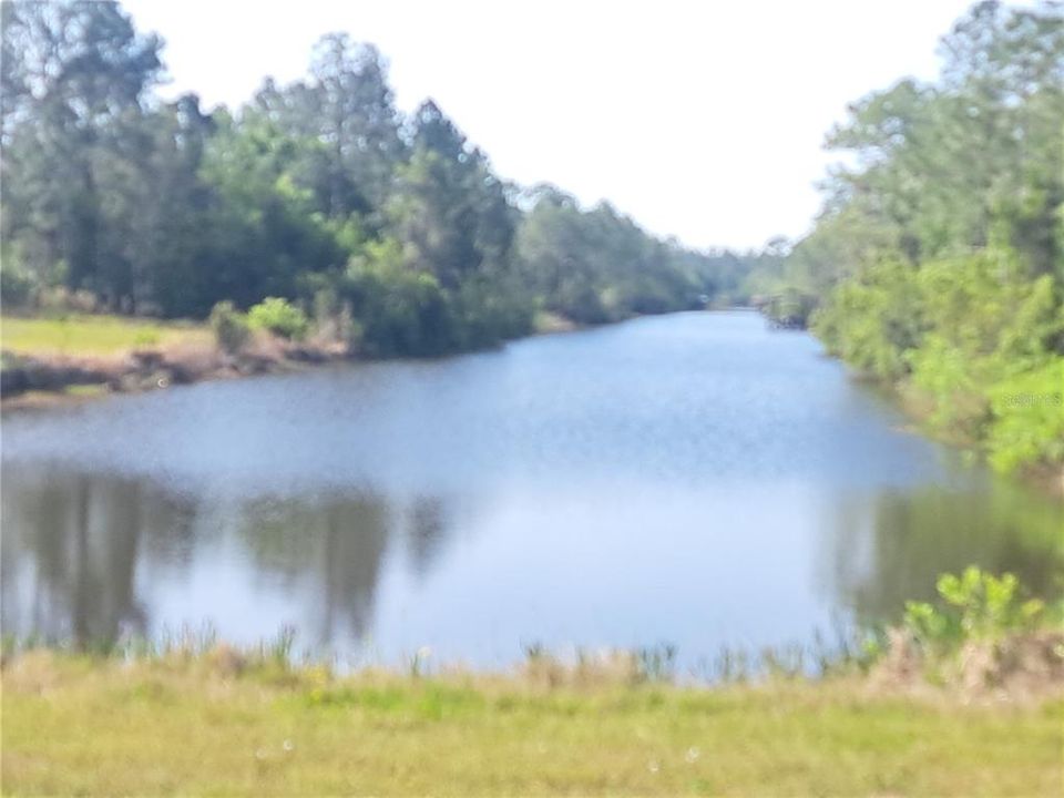 待售: $85,000 (0.50 acres)