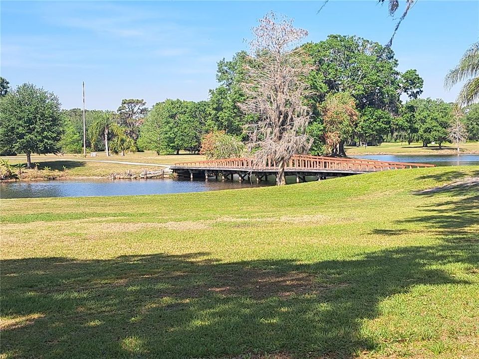 待售: $85,000 (0.50 acres)