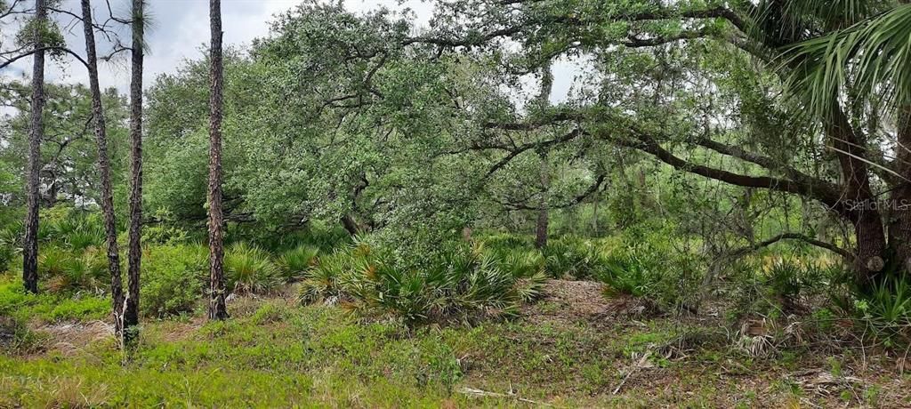 Недавно продано: $15,000 (0.73 acres)