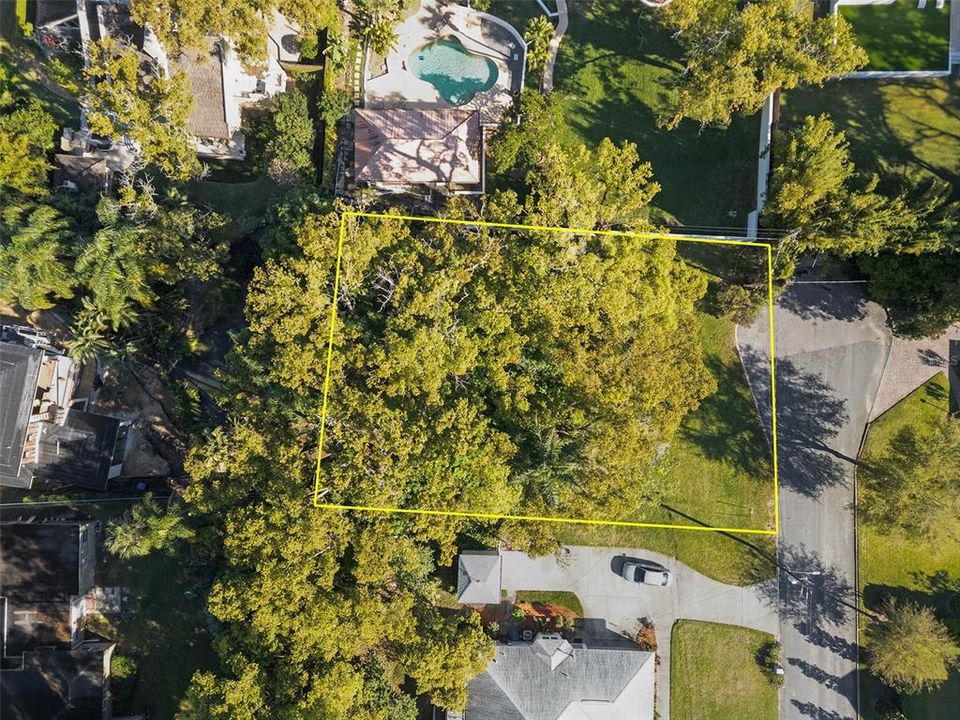 Tremendous Lot in Winter Park