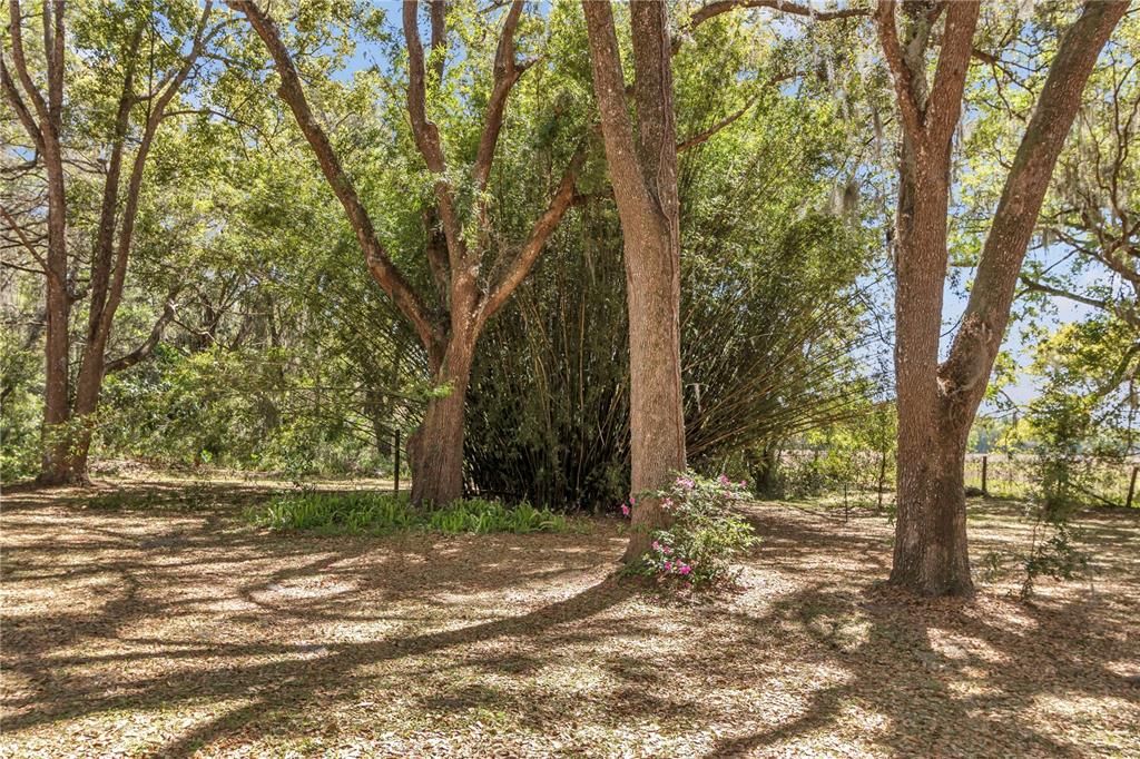 For Sale: $529,000 (3 beds, 3 baths, 3635 Square Feet)