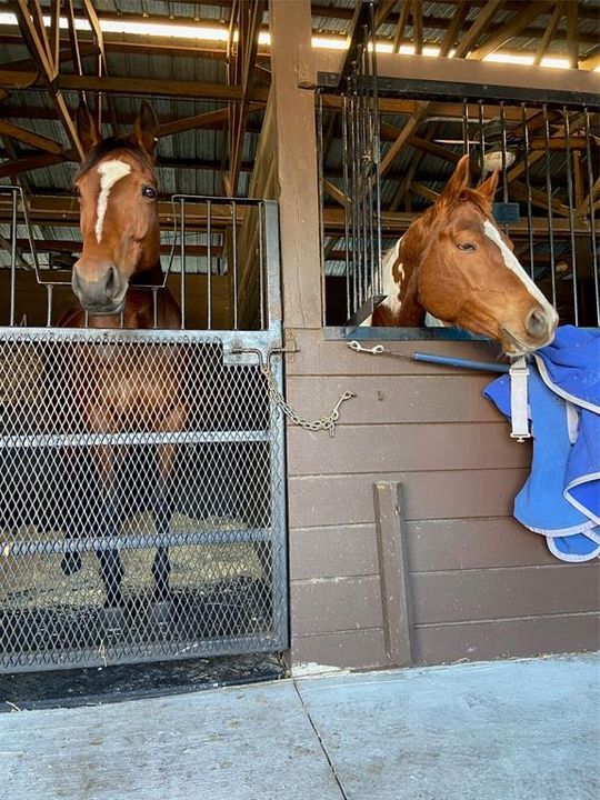 待售: $1,500,000 (5.06 acres)