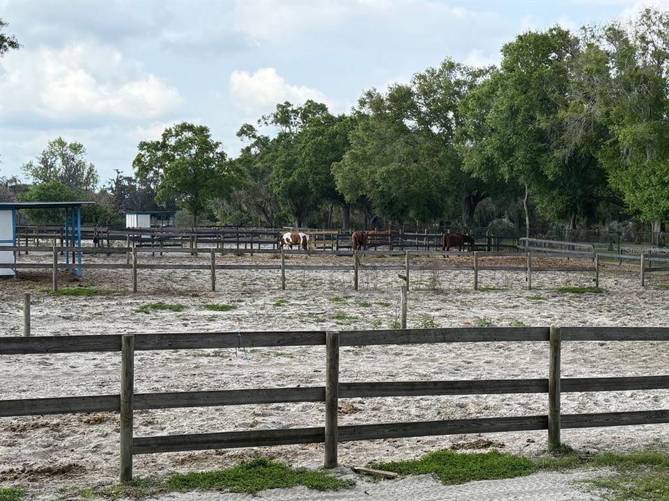 待售: $1,500,000 (5.06 acres)