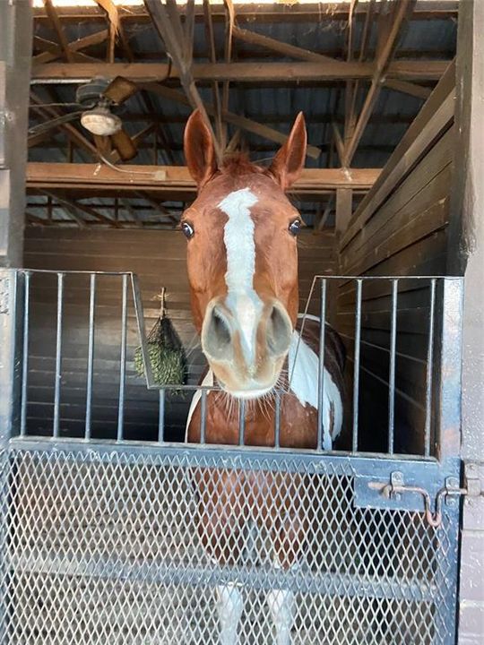 待售: $1,500,000 (5.06 acres)