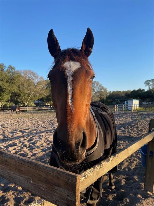 待售: $1,500,000 (5.06 acres)