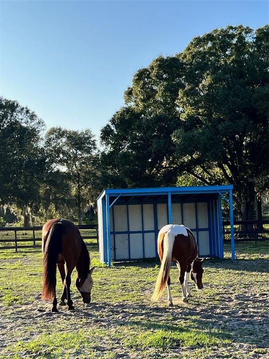 待售: $1,500,000 (5.06 acres)