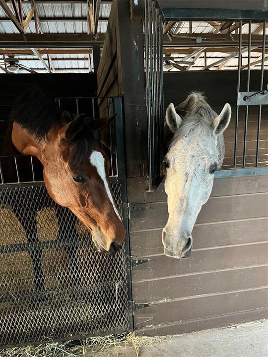 待售: $1,500,000 (5.06 acres)