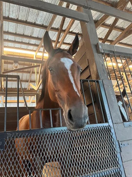 待售: $1,500,000 (5.06 acres)