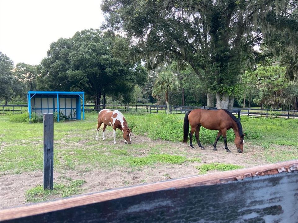 待售: $1,500,000 (5.06 acres)