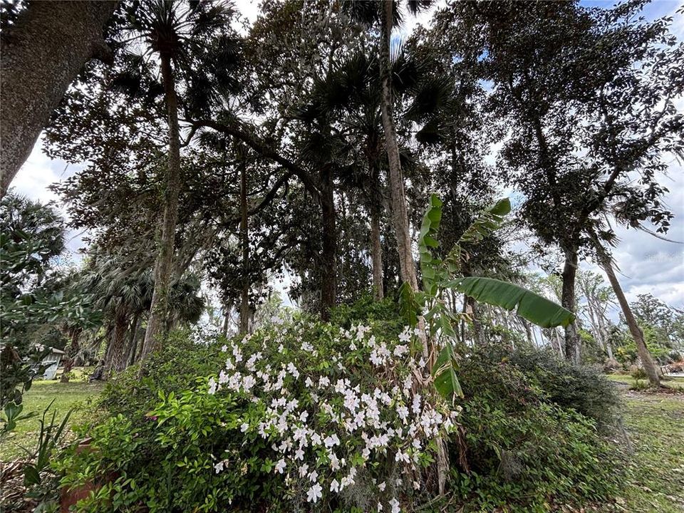 待售: $235,000 (3.30 acres)