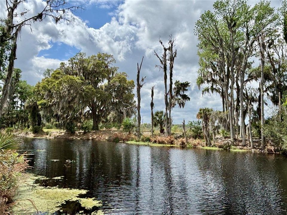 待售: $235,000 (3.30 acres)