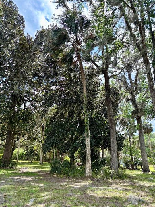 待售: $235,000 (3.30 acres)