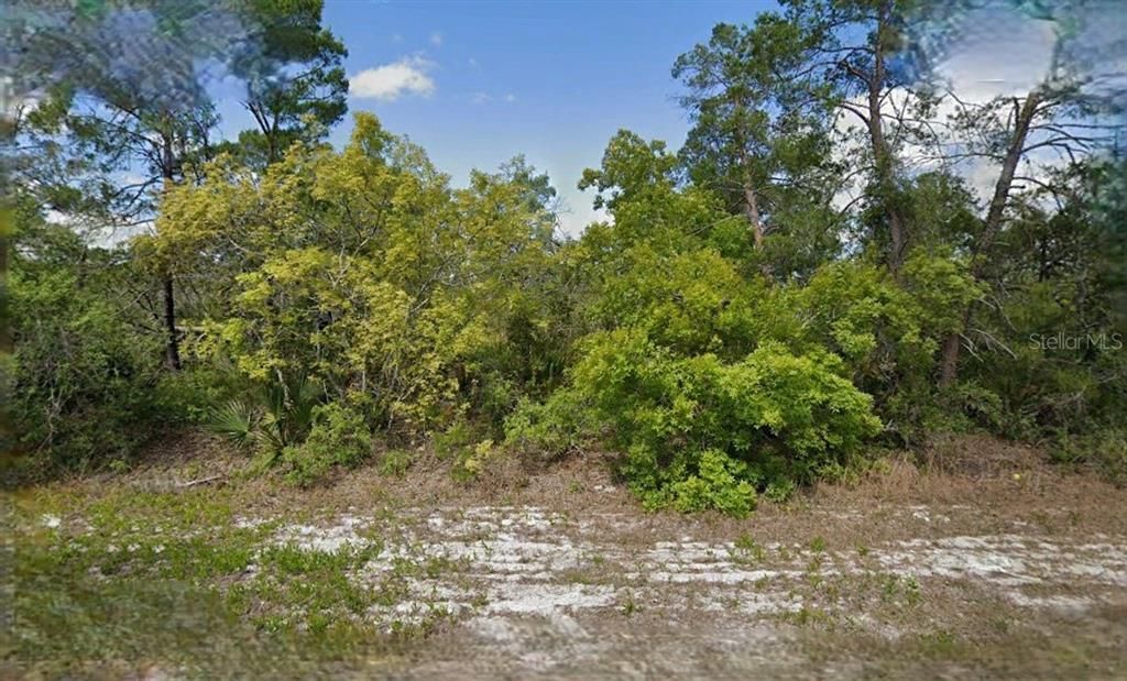 For Sale: $34,000 (0.45 acres)