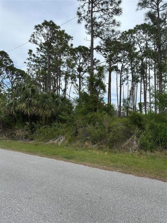 Recently Sold: $25,000 (0.23 acres)