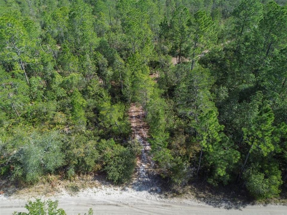 For Sale: $219,000 (12.60 acres)