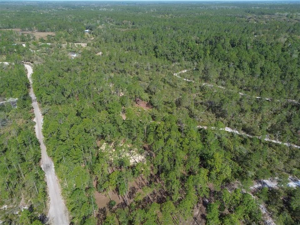 For Sale: $219,000 (12.60 acres)