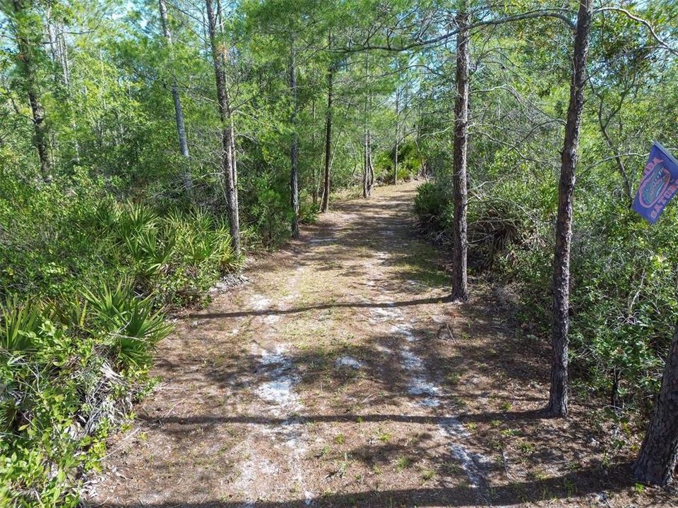For Sale: $219,000 (12.60 acres)