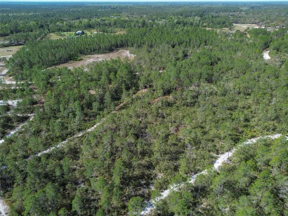 For Sale: $219,000 (12.60 acres)