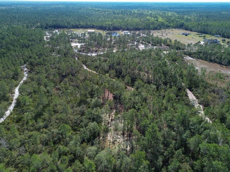 For Sale: $219,000 (12.60 acres)