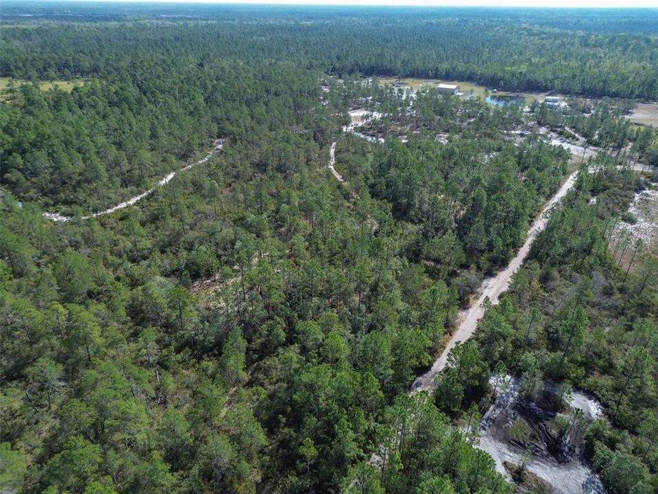 For Sale: $219,000 (12.60 acres)