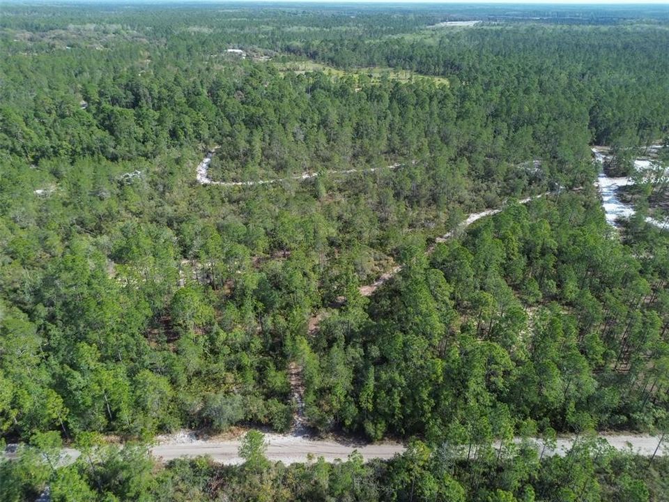 For Sale: $219,000 (12.60 acres)