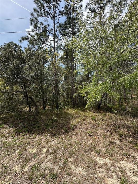 На продажу: $46,000 (0.38 acres)