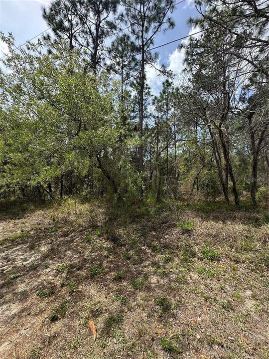 На продажу: $46,000 (0.38 acres)