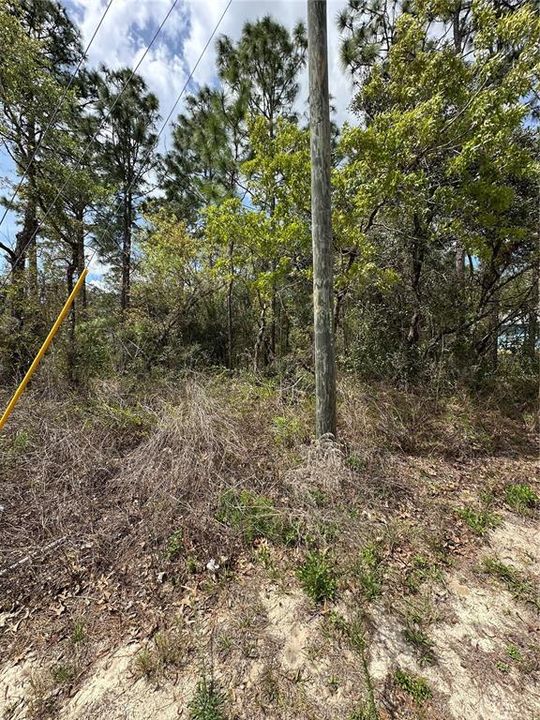 На продажу: $46,000 (0.38 acres)