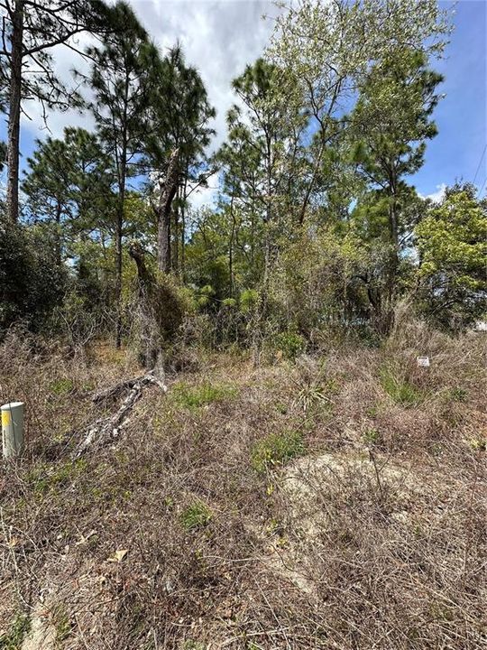 На продажу: $46,000 (0.38 acres)