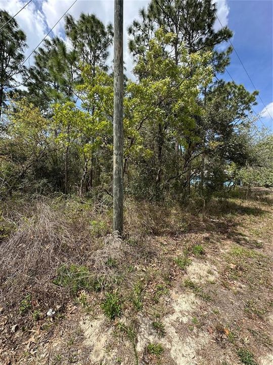 На продажу: $46,000 (0.38 acres)