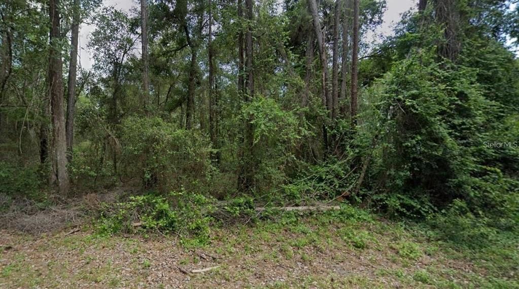 En Venta: $29,000 (0.32 acres)