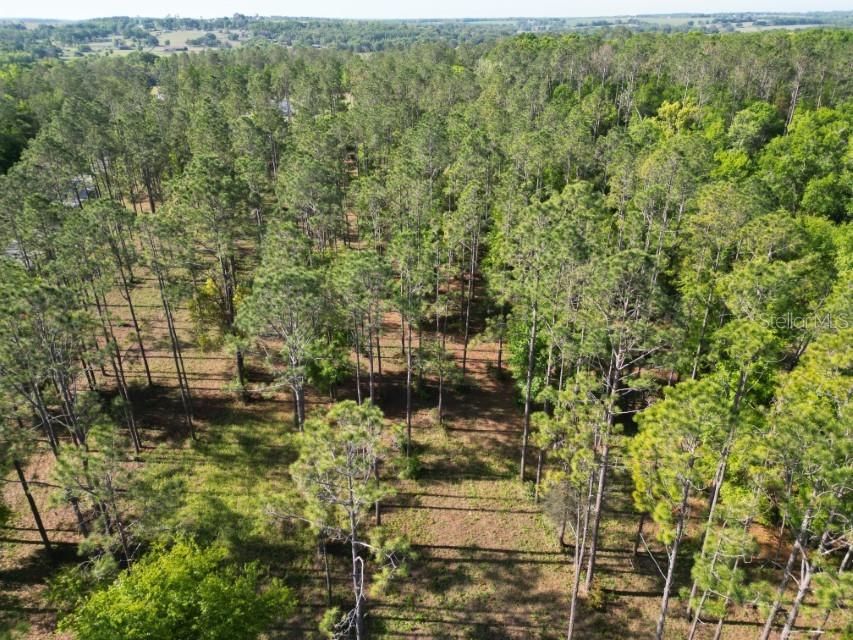a rare thing, Hilltop lot with particular value